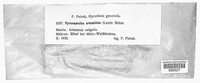 Pyrenopeziza artemisiae image